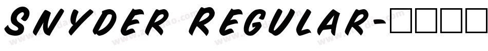 Snyder Regular字体转换
